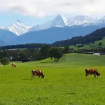 Salzhaus *