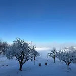 Salzhaus 度假居