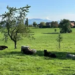 度假居 Salzhaus Amsoldingen