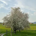 度假居 Salzhaus Amsoldingen
