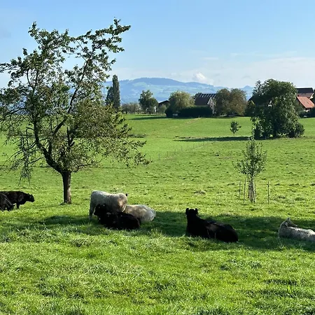 Nyaraló Salzhaus Amsoldingen