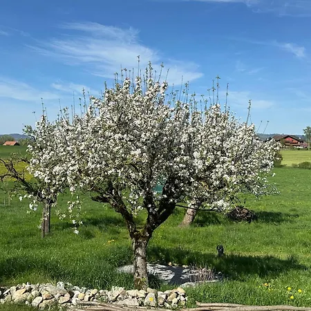 Salzhaus * Amsoldingen