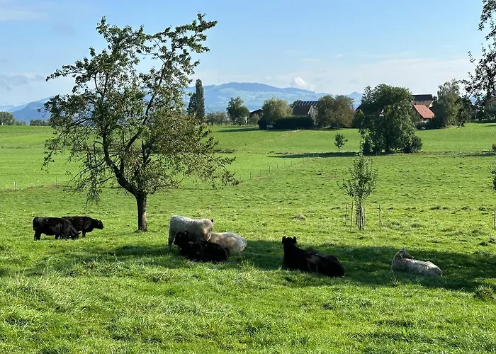Feriehus Salzhaus Amsoldingen