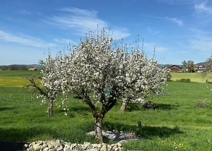 Salzhaus * Amsoldingen