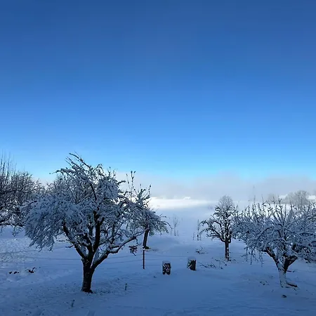 Salzhaus Σπίτι διακοπών