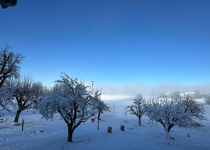 Salzhaus Casa de Férias