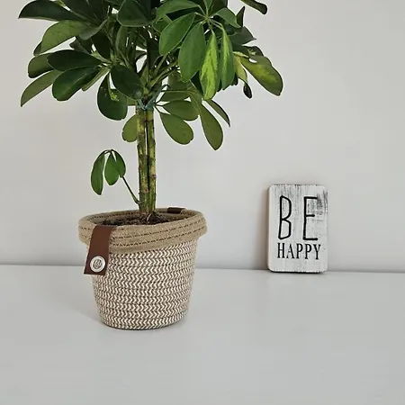 Salzhaus Semesterbostad *