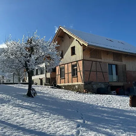 Semesterbostad Salzhaus