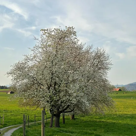 Semesterbostad Salzhaus Amsoldingen